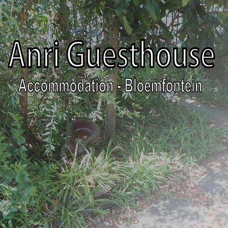 Anri Guesthouse Bloemfontein Ngoại thất bức ảnh